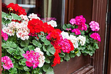 《名侦探皮卡丘2》仍在开发中 或即将正式发售